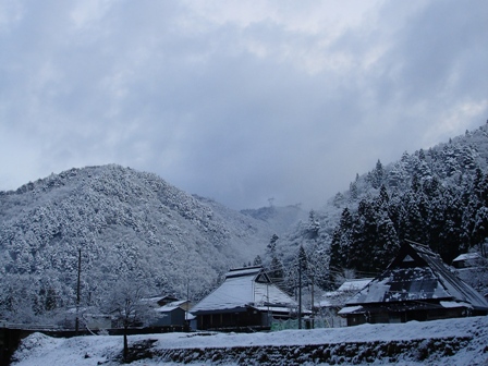 雪、5ｃｍの積雪　　　朽木小川・気象台より_c0044819_6572336.jpg