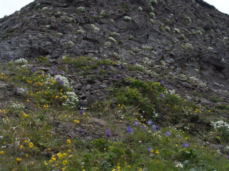 d0136122_100448.jpg