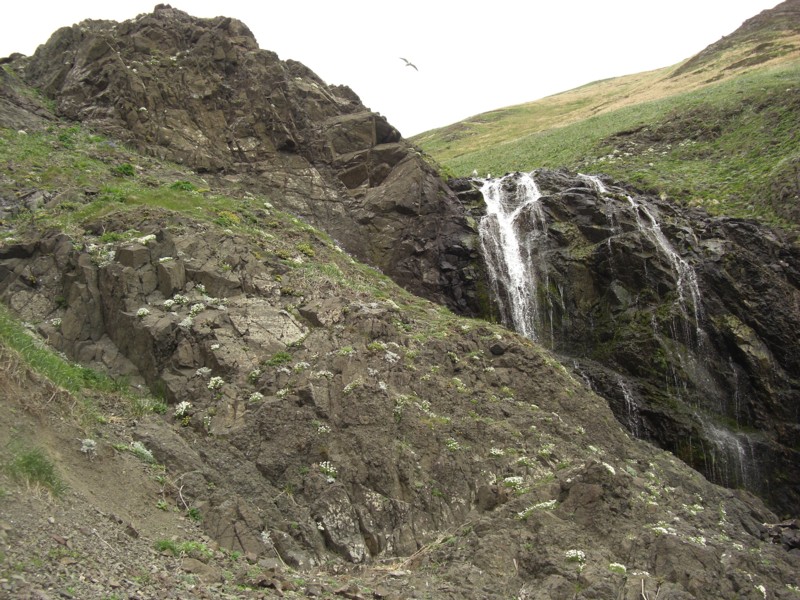 d0136122_1011770.jpg