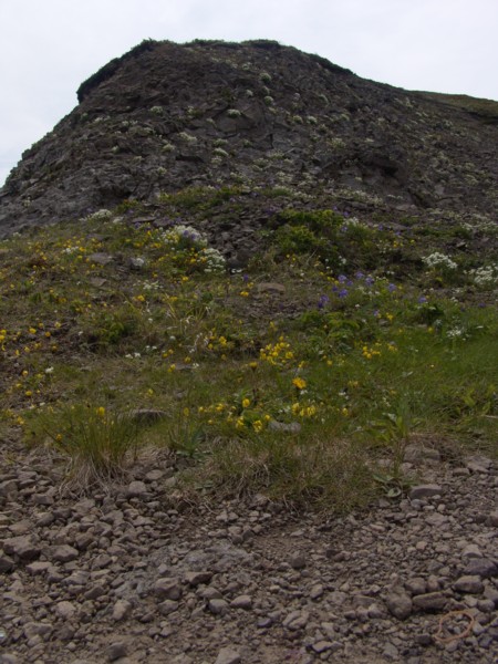 d0136122_9594387.jpg