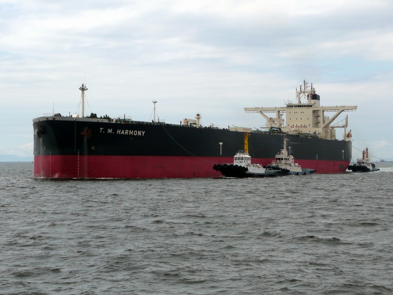 e0158925_32909.jpg