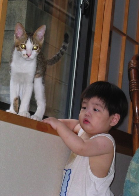 チコ幼年期の終わり_b0060239_20263979.jpg