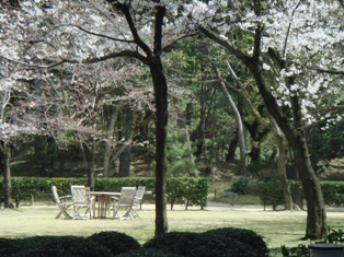 e0170441_951538.jpg