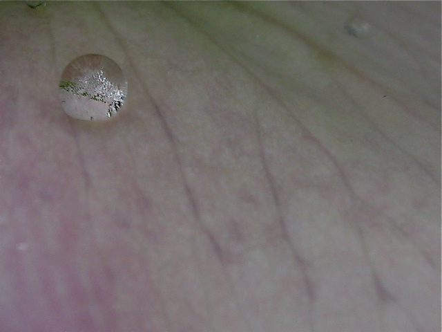 d0101846_782523.jpg