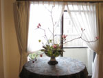 教室は春♪_d0139350_18535346.jpg