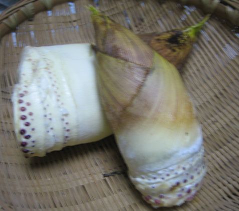 f0002750_2001027.jpg