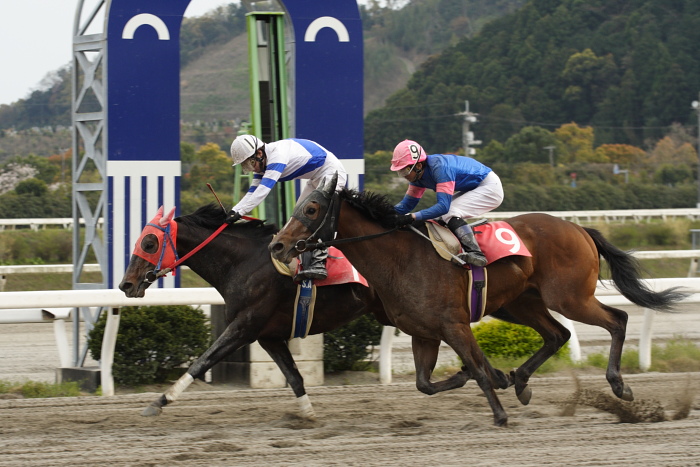 2009年3月28日（土） 高知競馬 10R 花見月特別 C1 選抜馬_a0077663_18233372.jpg