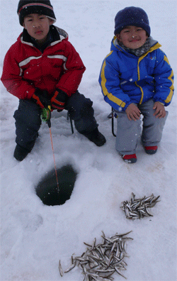 f0163063_16832100.gif