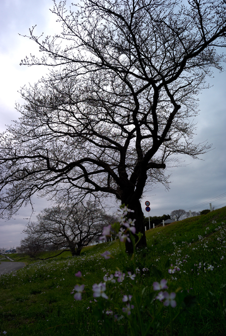 d0114066_11404.jpg