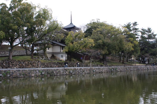 猿沢池～氷室神社・枝垂桜_b0055171_2124594.jpg