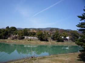 f0059671_13701.jpg