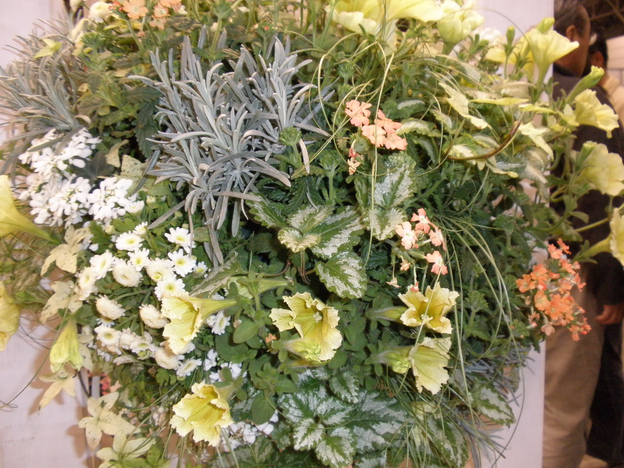 b0157276_20115882.jpg