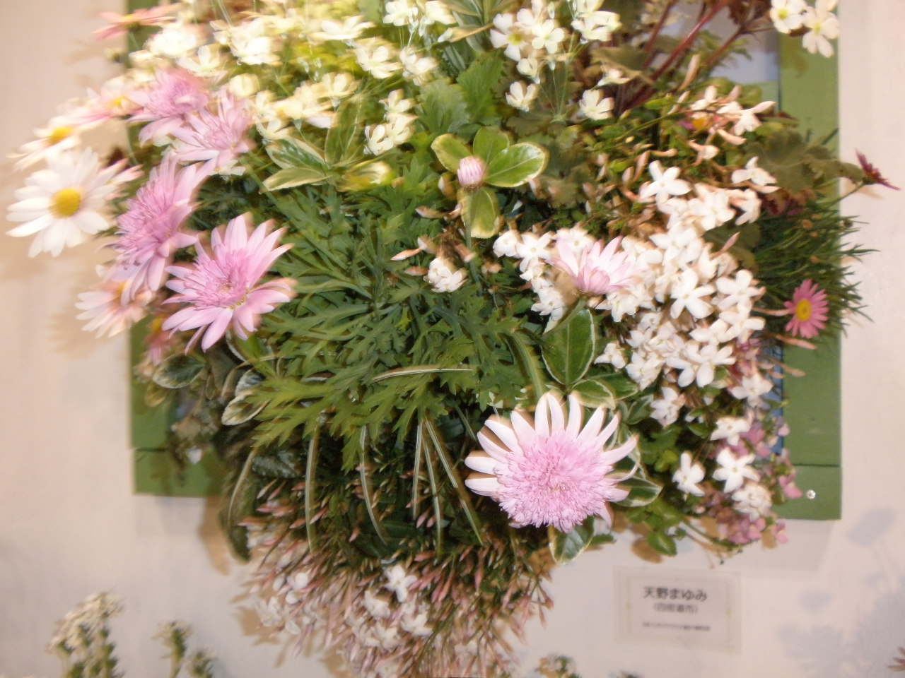 b0157276_20122636.jpg