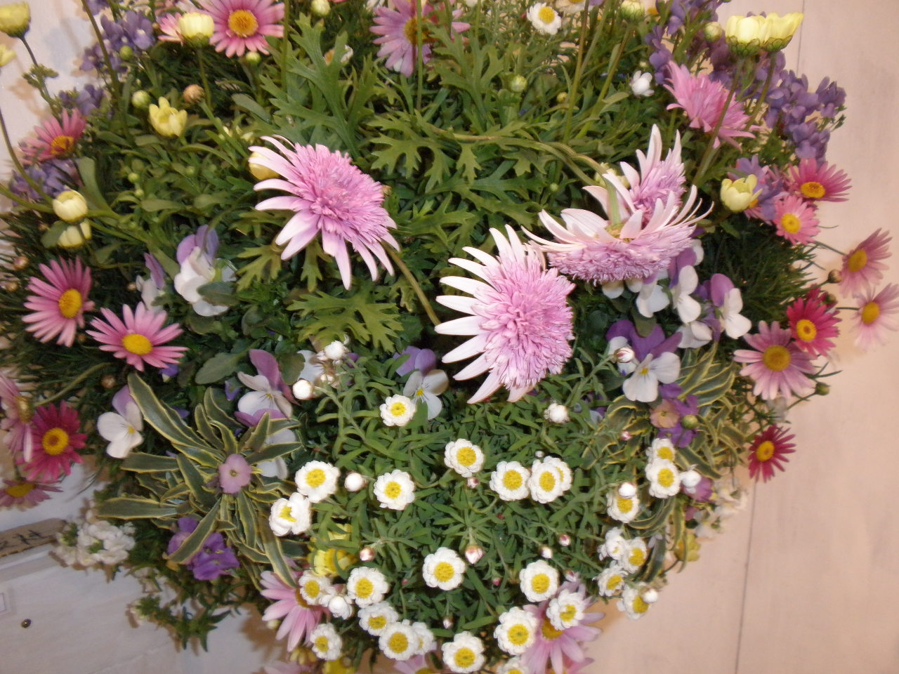 b0157276_2025939.jpg