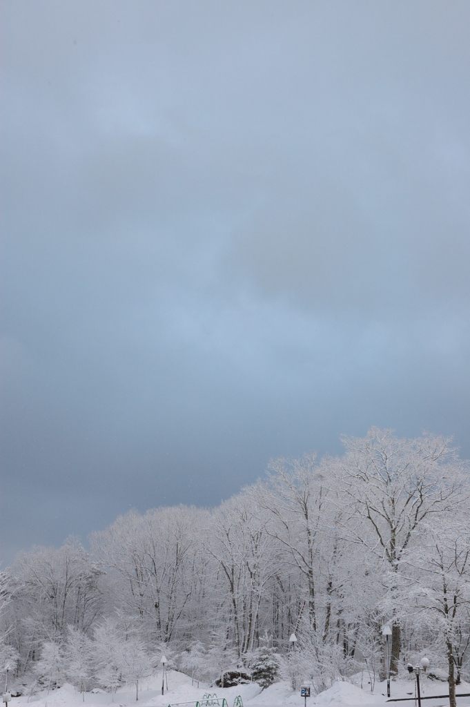 雪の華_f0180878_103461.jpg