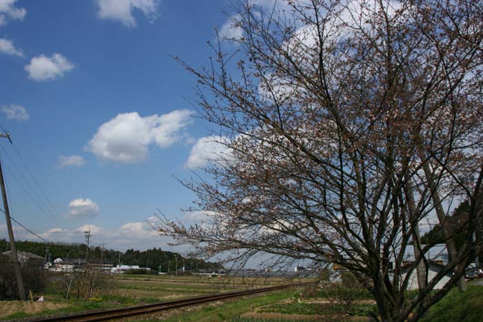 c0177785_642787.jpg