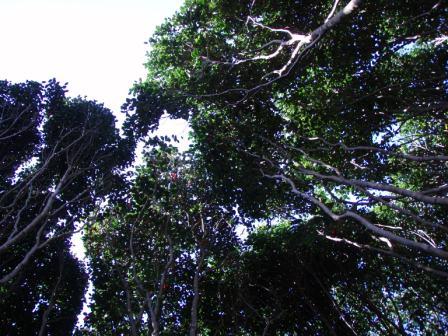 e0121286_09594.jpg
