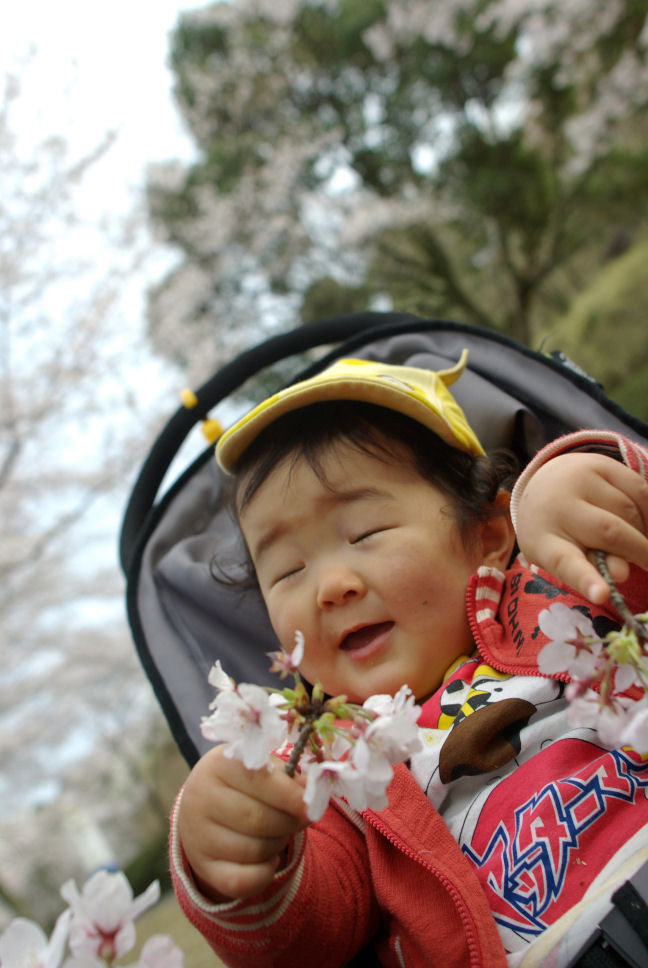 続・続）健康の森公園～桜満開～_c0152288_14911100.jpg