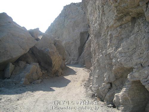 c0010496_71130.jpg