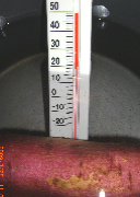 c0151898_1495985.jpg