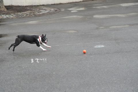 雨上がりシャカリキ隊_e0039002_11365134.jpg