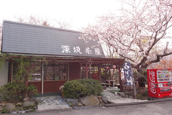 お花見に行ってきました♪_c0198903_22114895.jpg