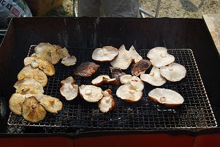 春うらら!_d0050503_214625100.jpg