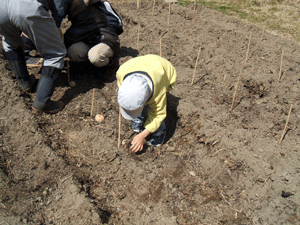 b0126307_19131310.gif