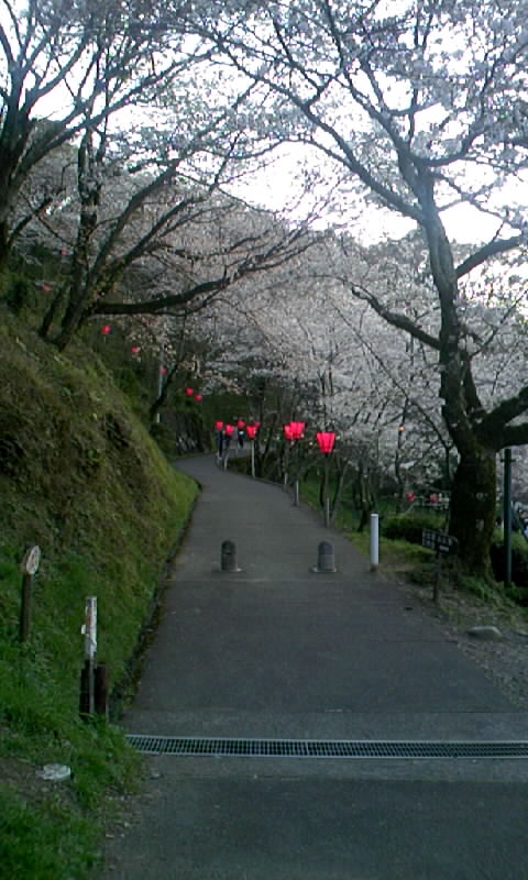 f0061414_17545815.jpg