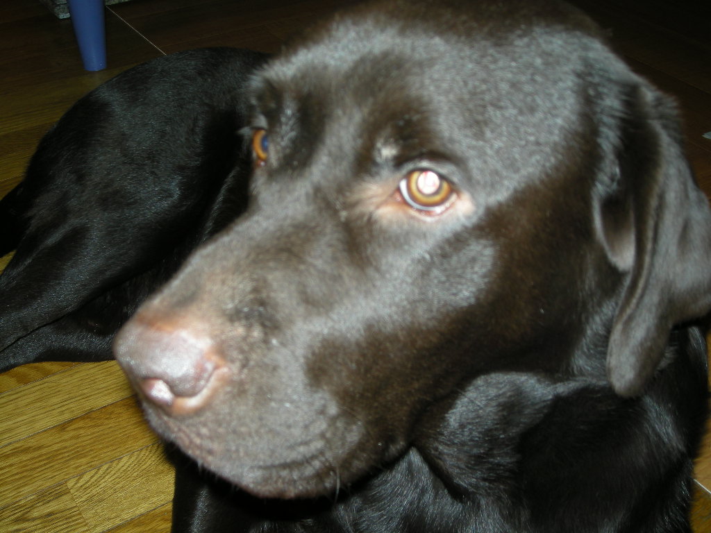 c0163316_05405.jpg