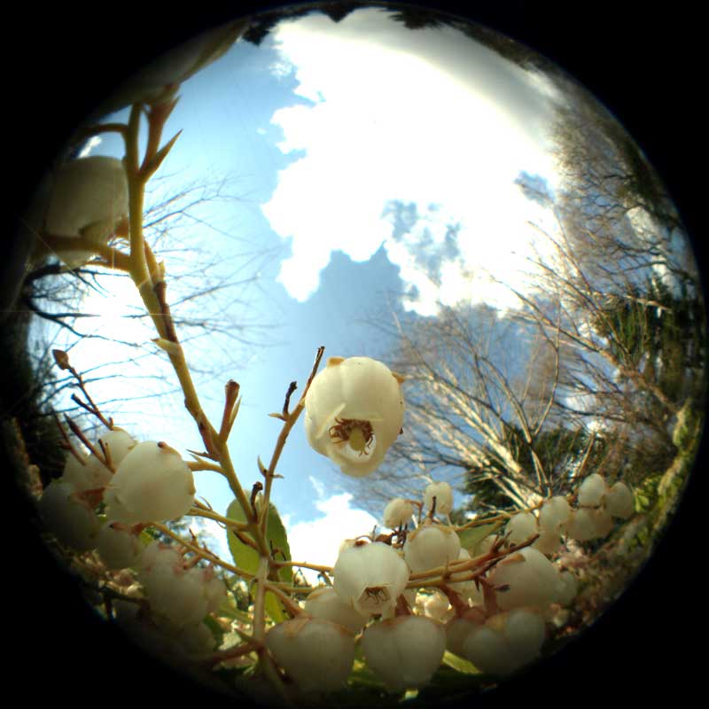 c0145418_1730135.jpg