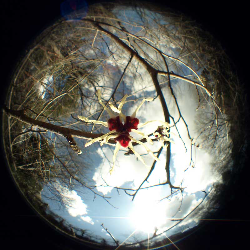 c0145418_1730931.jpg