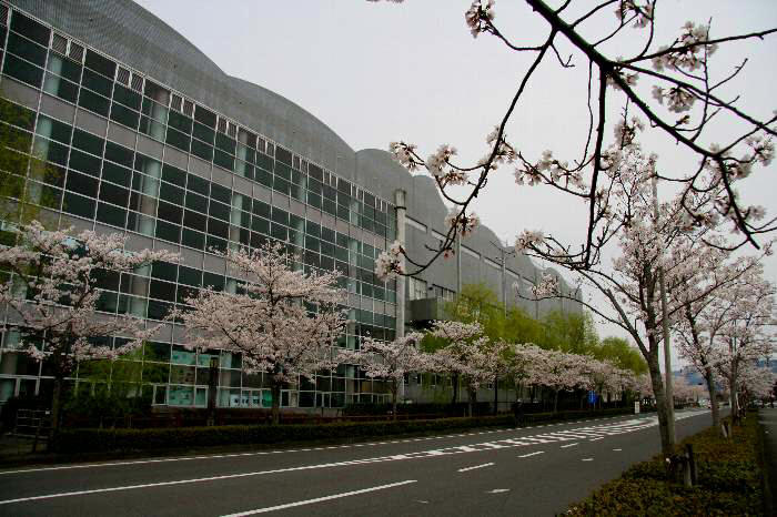 e0125220_2151266.jpg