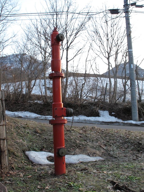 f0031423_2273246.jpg