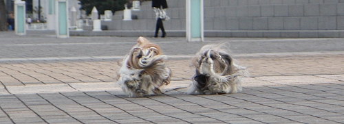 c0028424_2351950.jpg