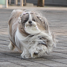 c0028424_2361863.jpg