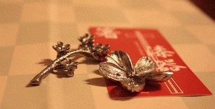 f0104038_222484.gif