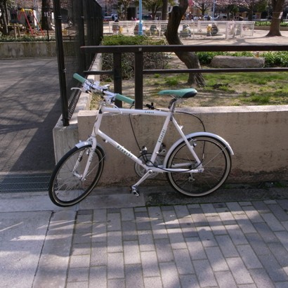 d0029840_1659712.jpg