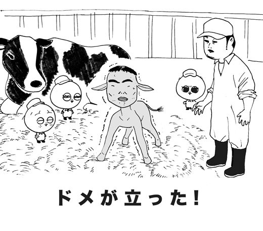 3月28日(土)　オープン戦【オリックス○4x-3●阪神】(京セラドーム)_f0105741_2252664.gif