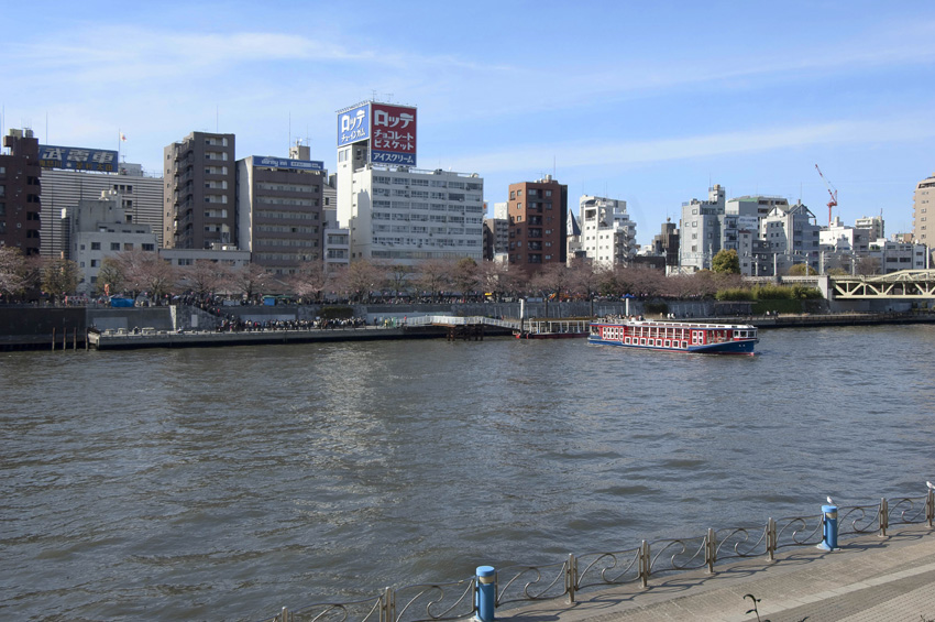 f0077849_1705821.jpg