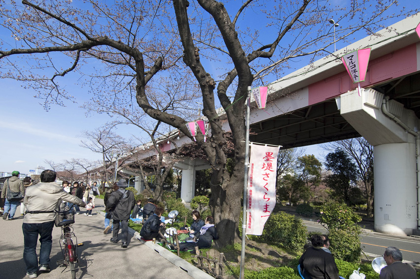 f0077849_1713235.jpg