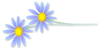a0089450_2127095.gif