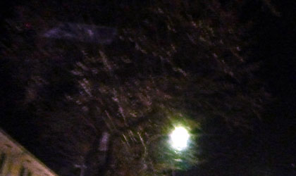 c0039153_18216.jpg