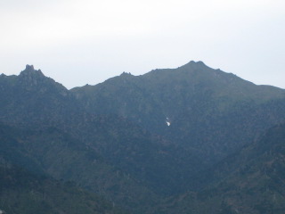 b0160957_85519.jpg
