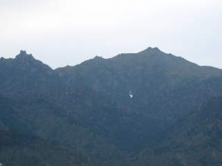 山桜の屋久島　最高！_b0160957_85519.jpg