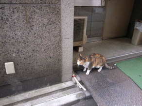 \"「御神本家☆お引っ越し計画 1章」\"ってこんなこと。_c0140560_1125329.jpg