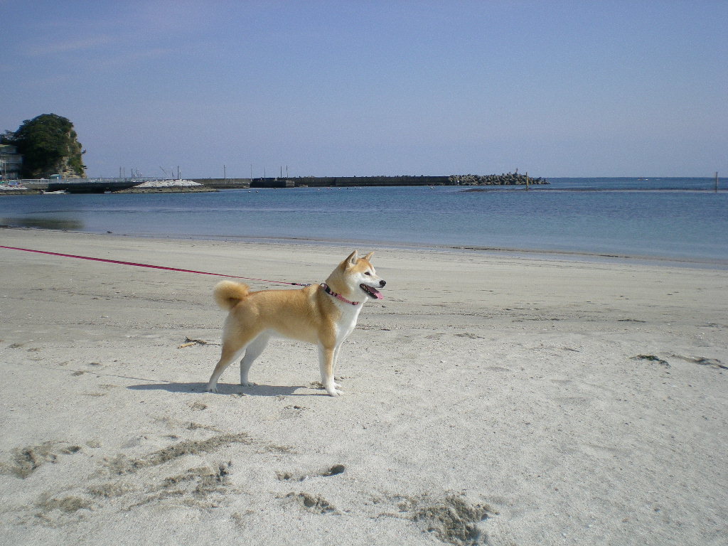 2009年3月29日(日)2人で草を!_f0060461_19281442.jpg