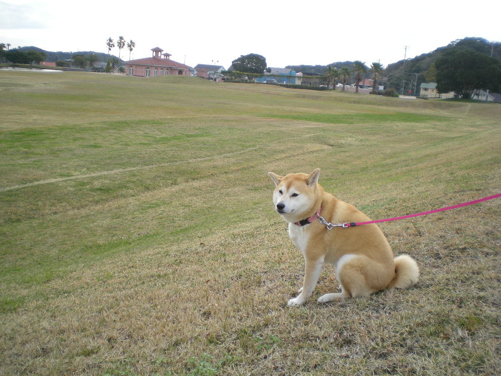2009年3月29日(日)2人で草を!_f0060461_19301394.jpg