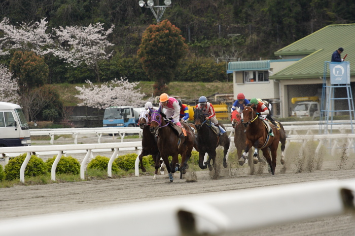 2009年3月28日（土） 高知競馬 5R 3歳1_a0077663_845090.jpg