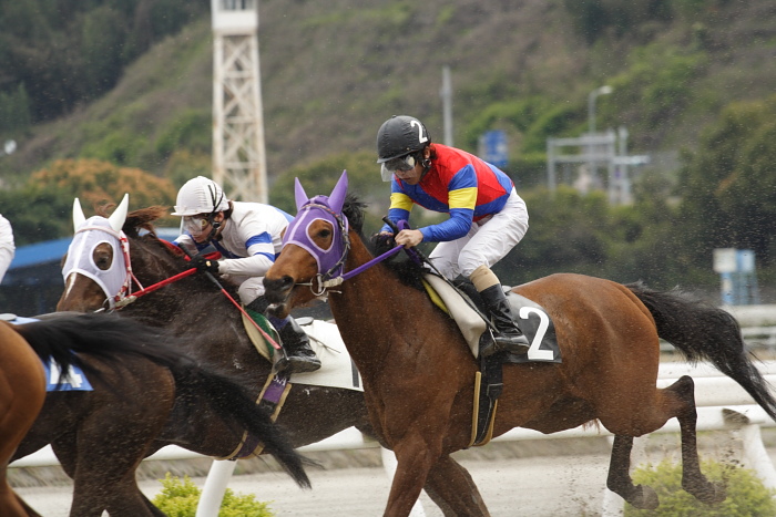 2009年3月28日（土） 高知競馬 5R 3歳1_a0077663_845949.jpg
